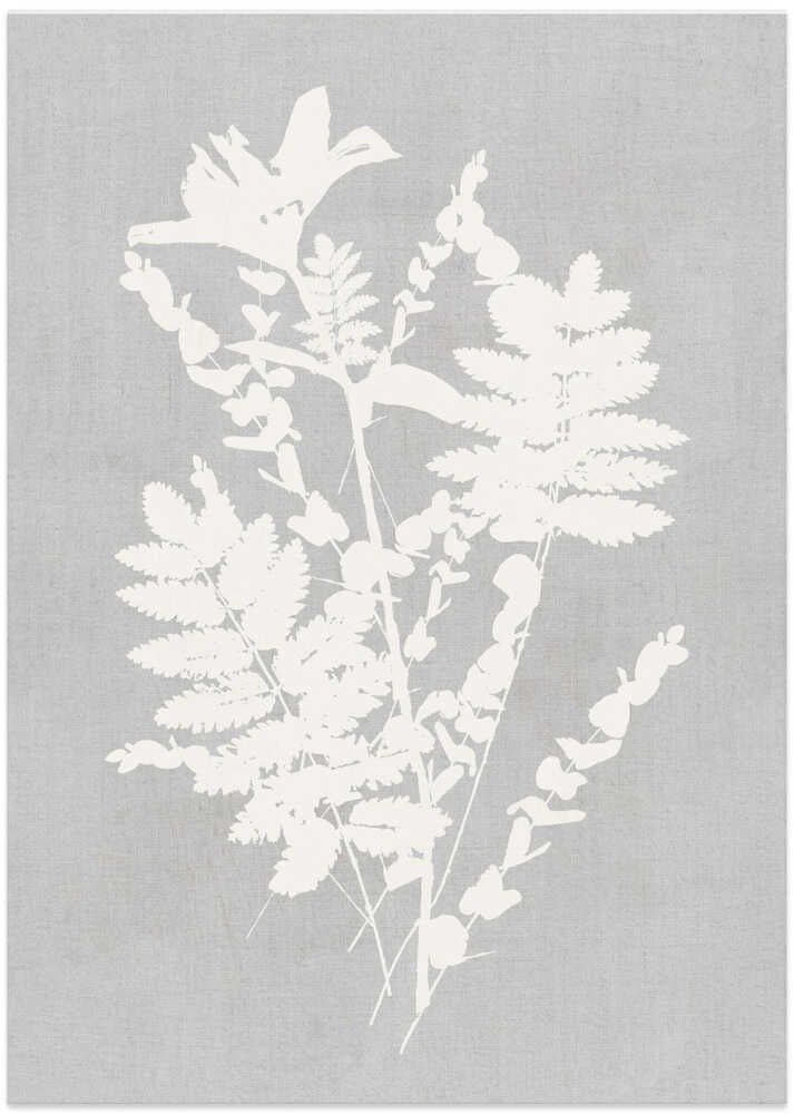 Botanical Illustration 5