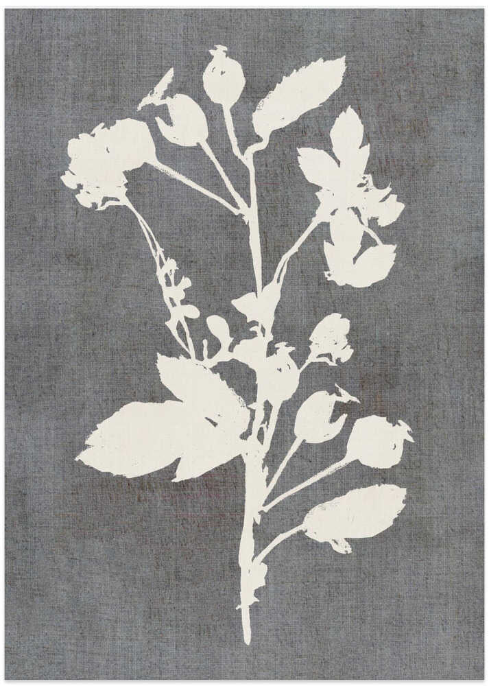 Botanical Illustration 6