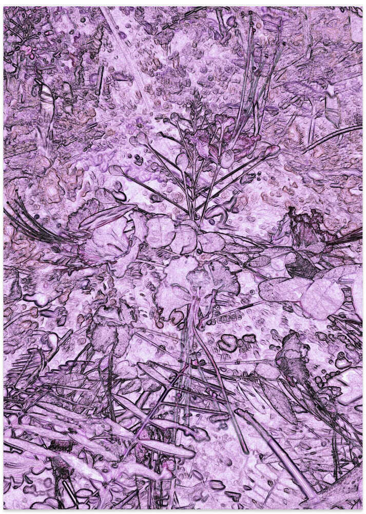 Ethereal Garden Glow