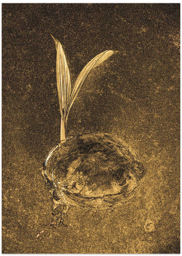 Golden Seedling Emergence