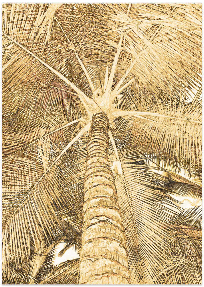 Golden Palm Canopy