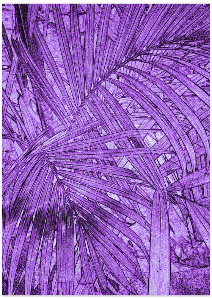Purple Frond Maze