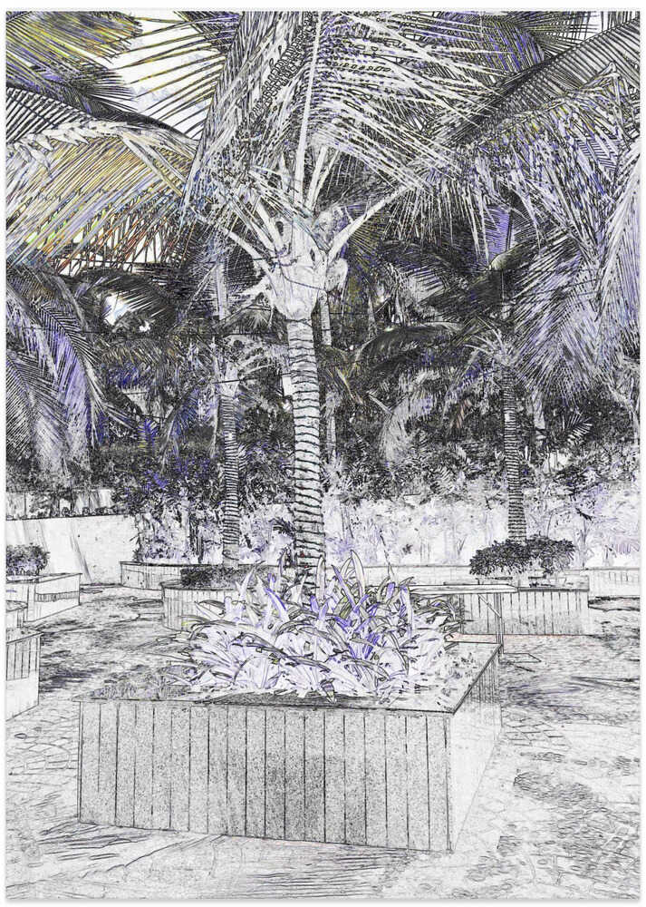 Tropical Sketch Garden