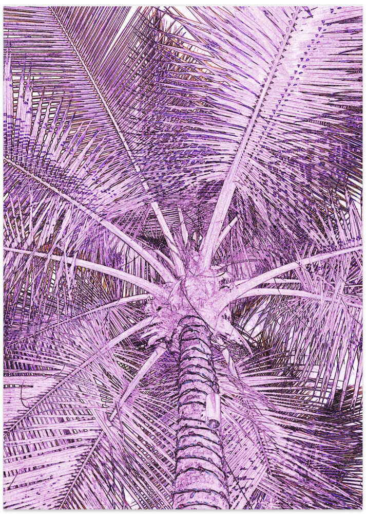 Purple Palm Perspective