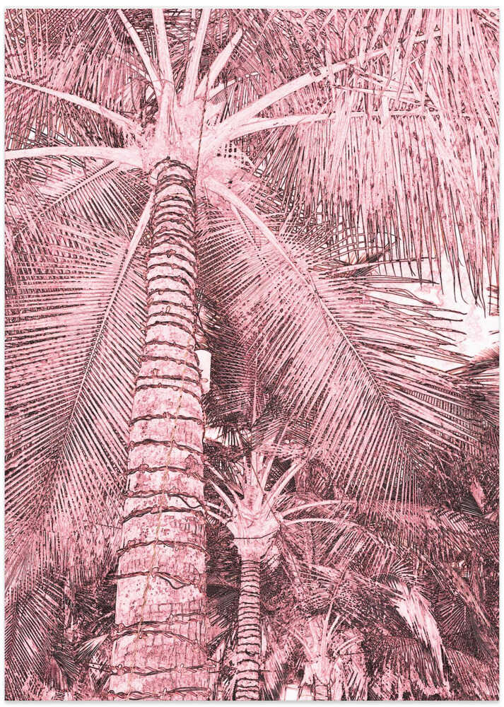 Blush Palms