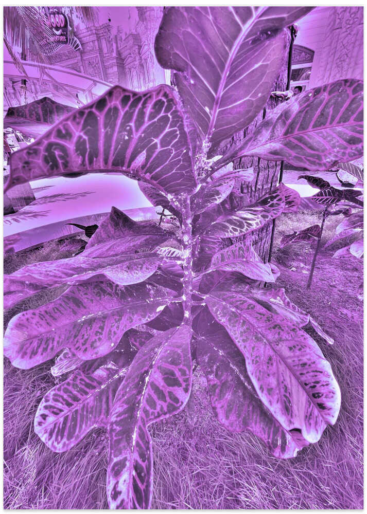 Vivid Leaf Dreamscape