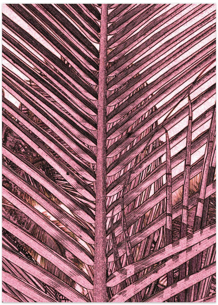 Pink Palm Patterns