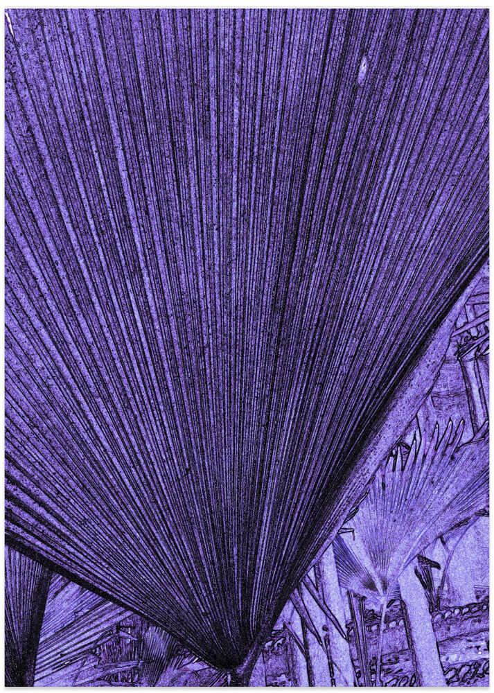 Purple Leaf Patterns