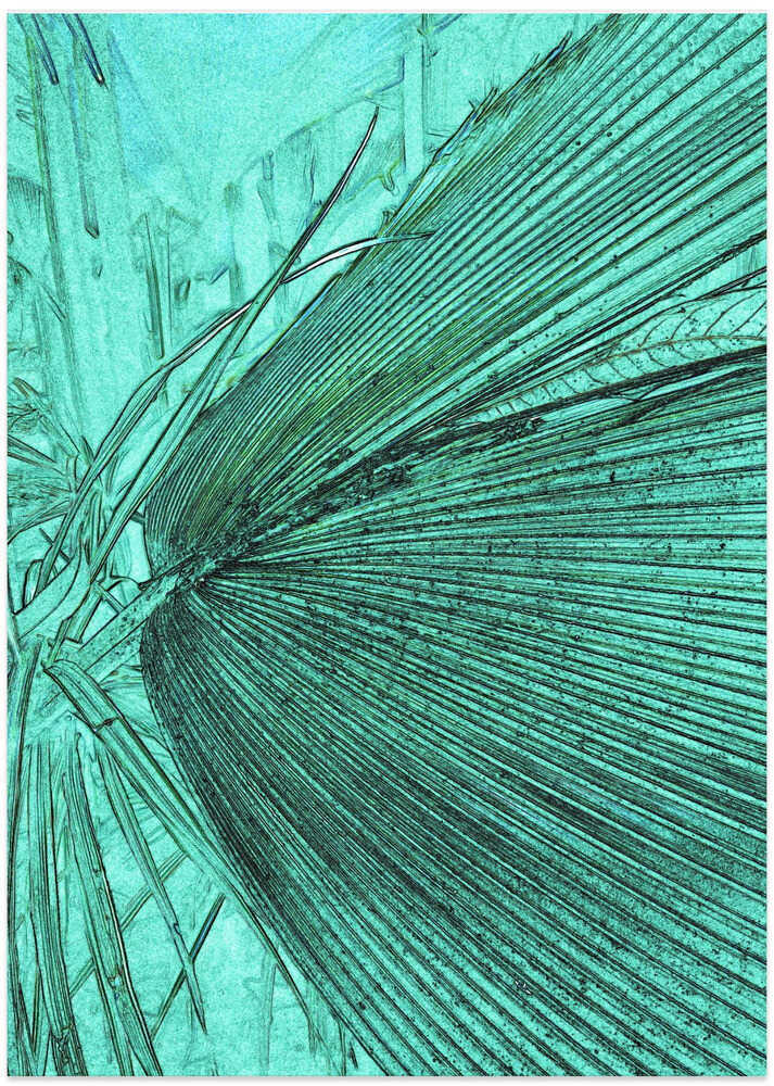 Turquoise Fronds