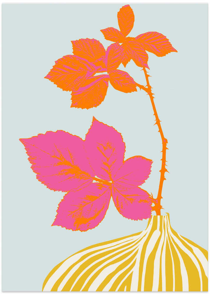 Plant based happyness Blackberry still life