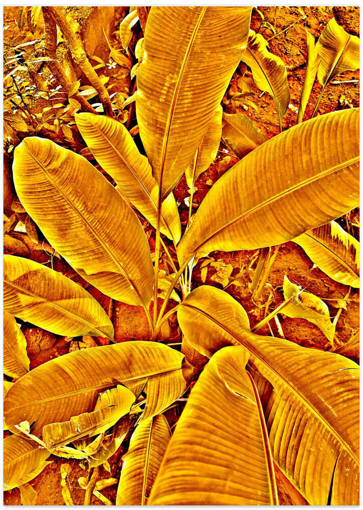 Golden Foliage Burst