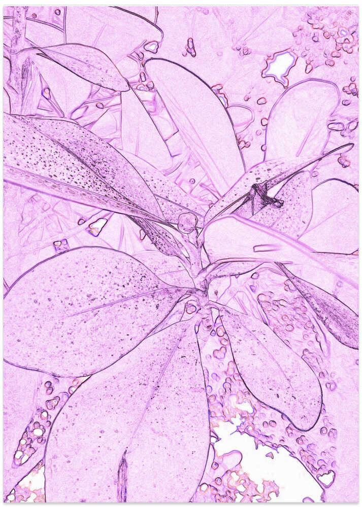Purple Leaf Dream