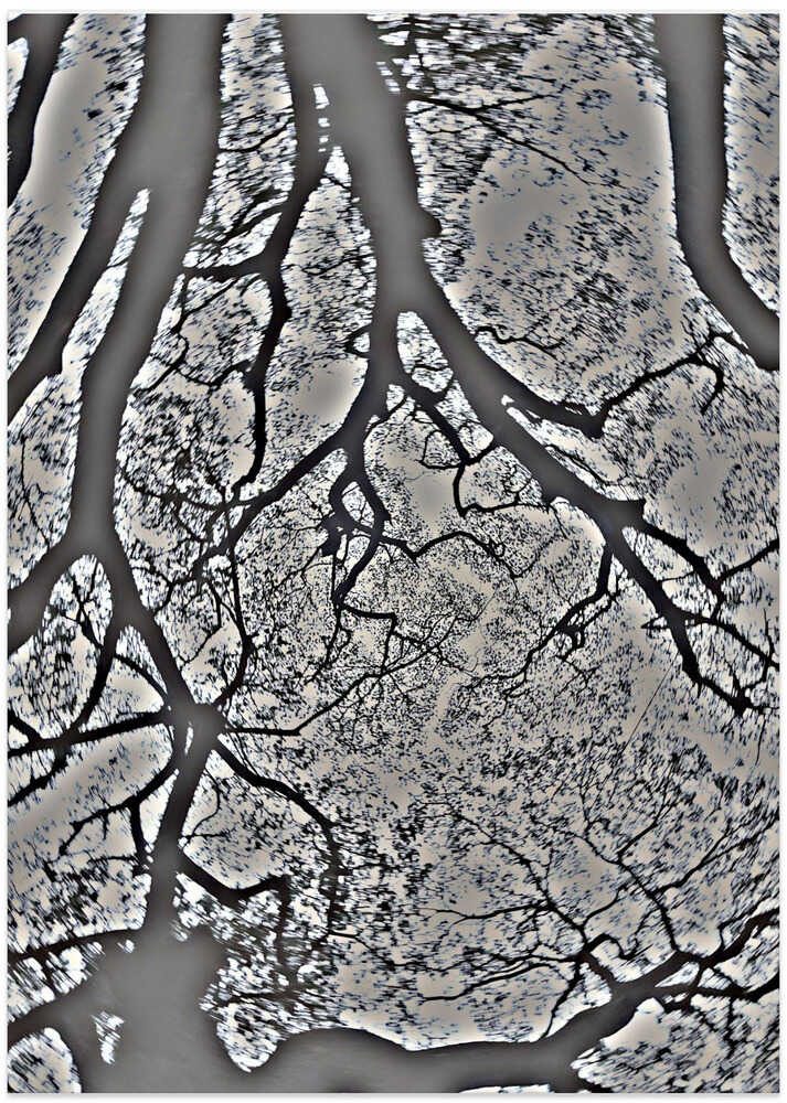 Branches in Swirl