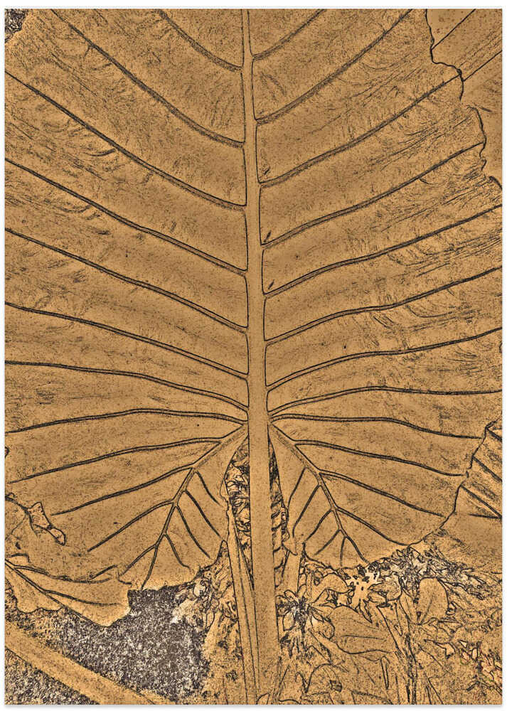 Bronze Leaf Pattern