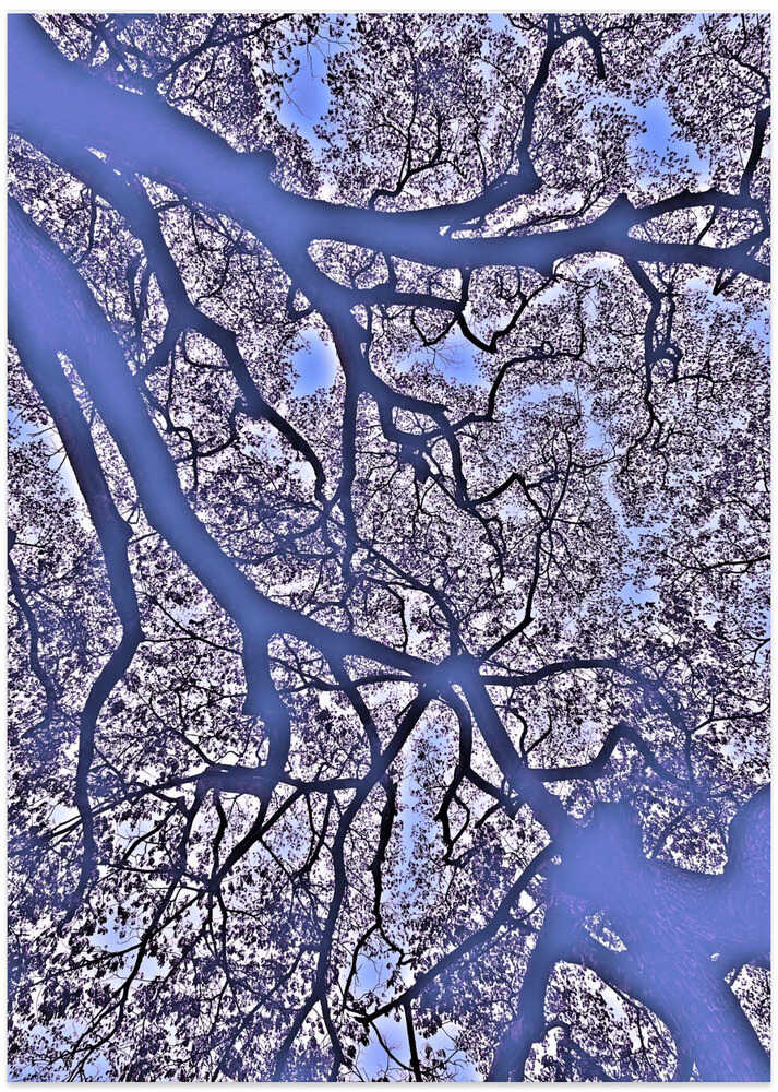 Dreamy Branch Tangle