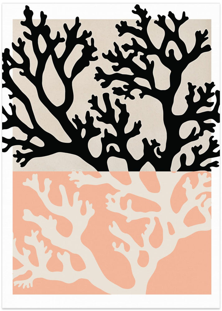 Coral Silhouettes