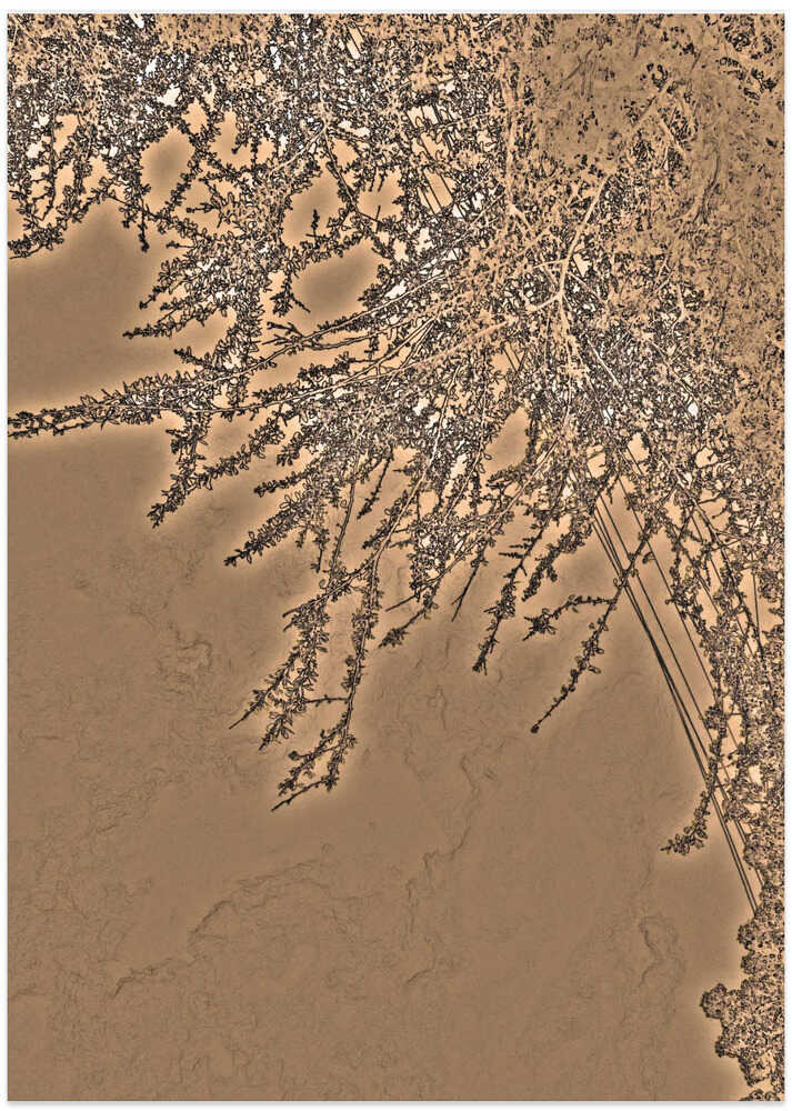 Fractal Tree Elegance