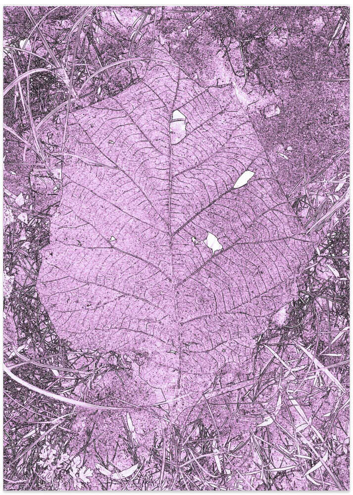Purple Leaf Mosaic