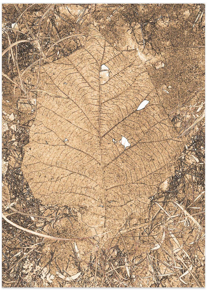 Earthy Leaf Imprint