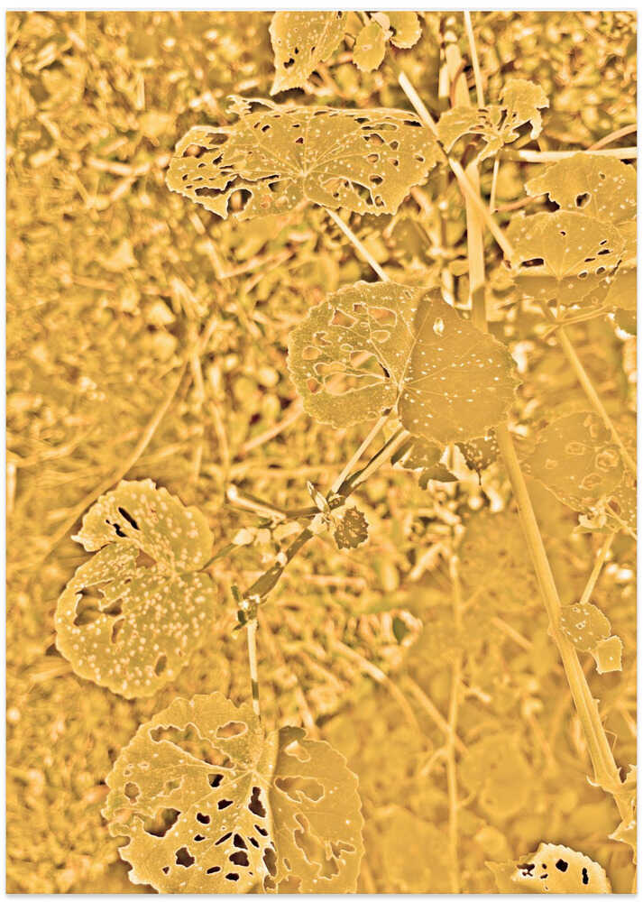 Golden Leaf Tapestry