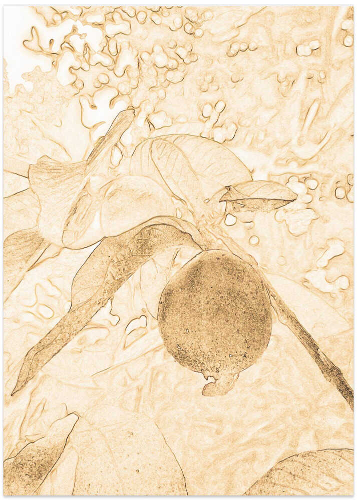 Sepia Fruit Elegance