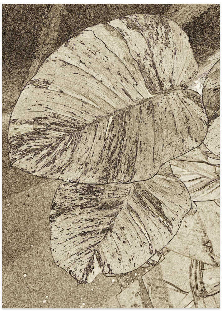 Textured Leaf Layers