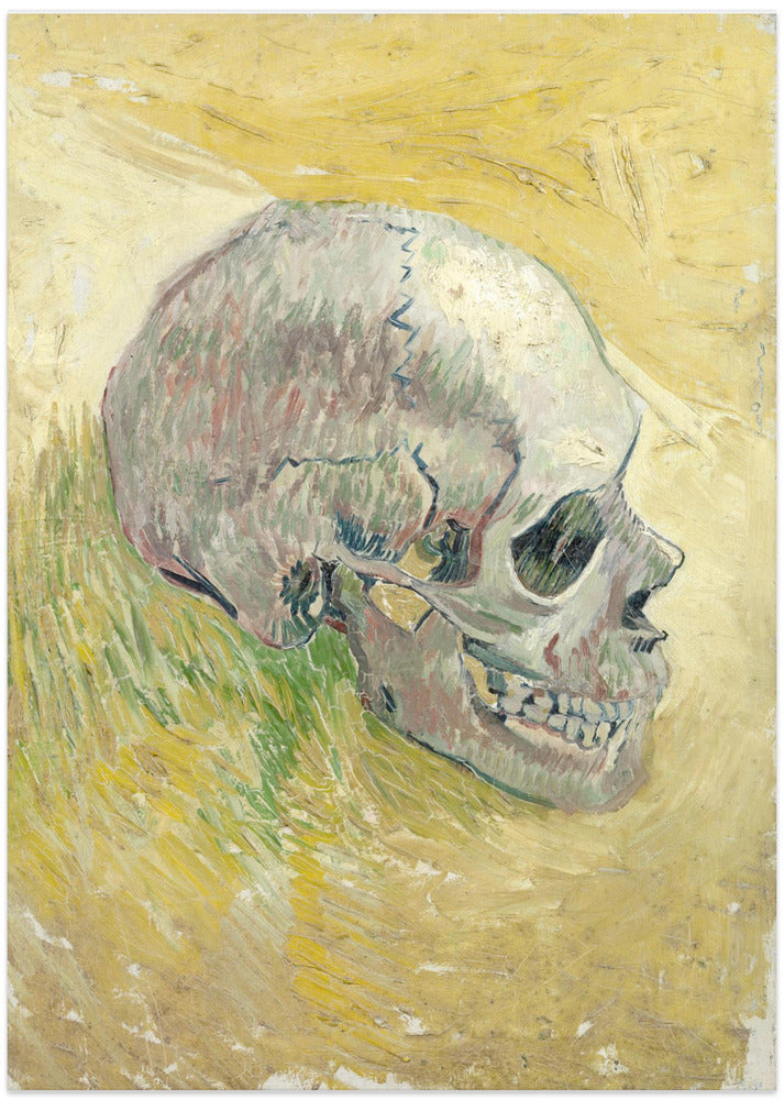 Skull (1887) Original