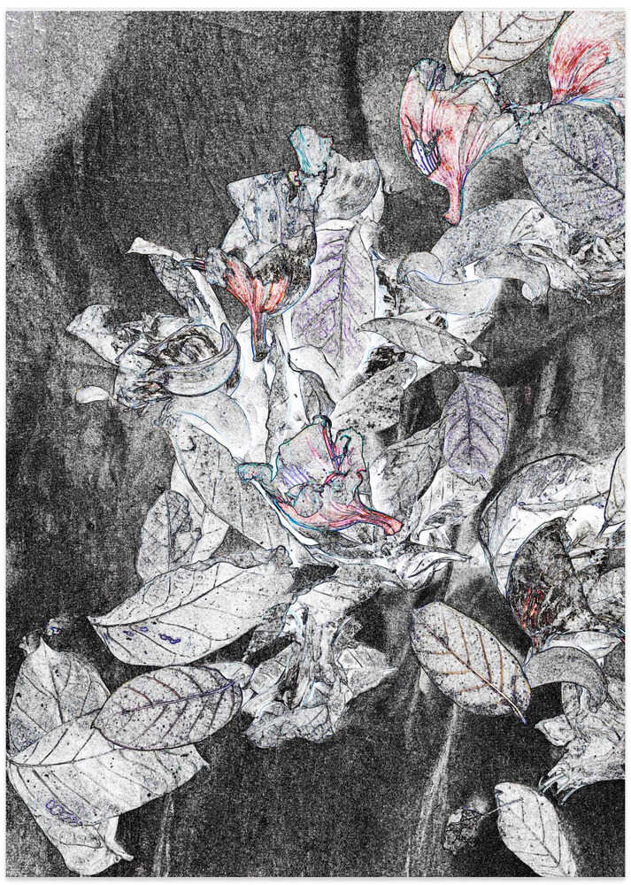 Faded Petal Whispers