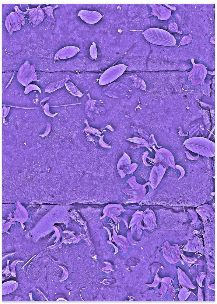 Purple Petal Pathway