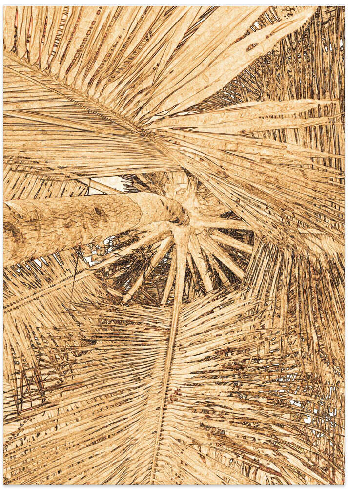 Golden Palm Canopy