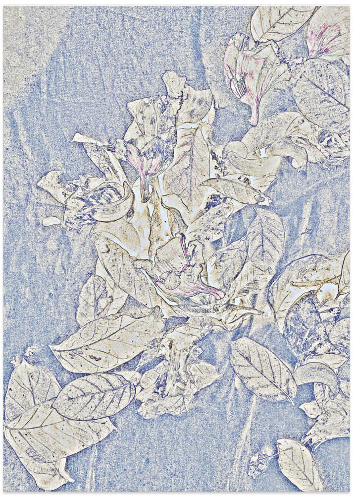 Delicate Petal Whispers