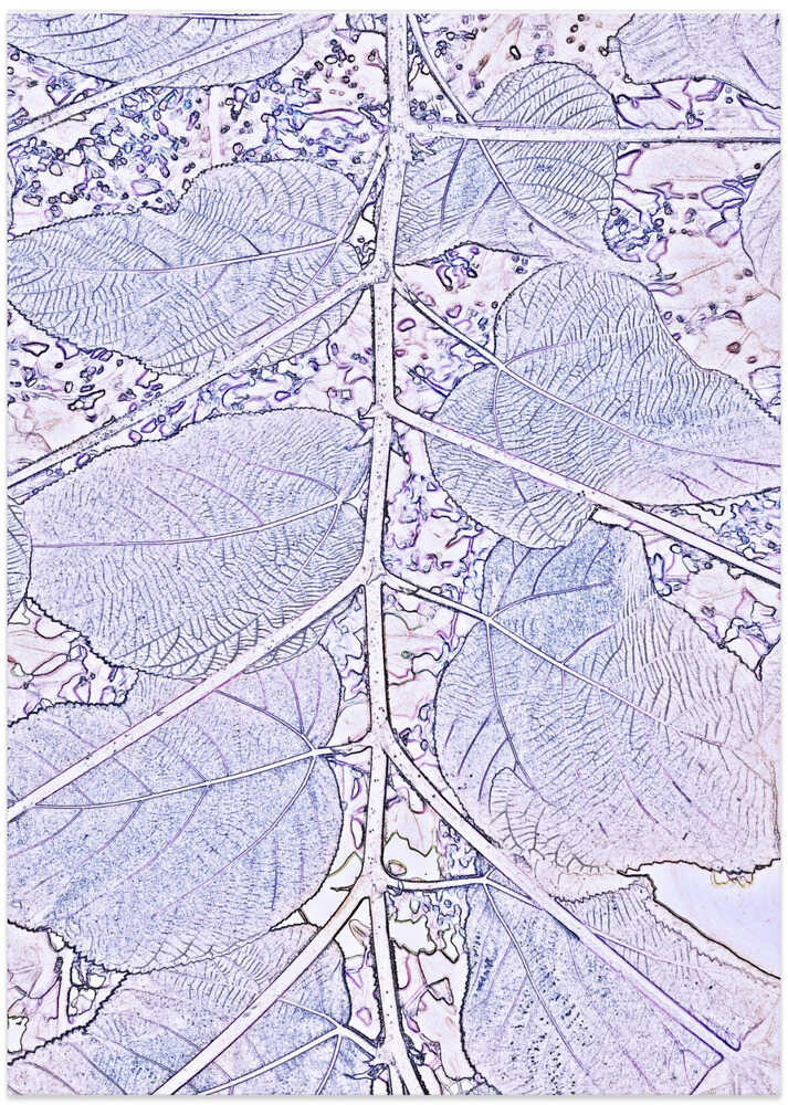 Frosted Leaf Whispers