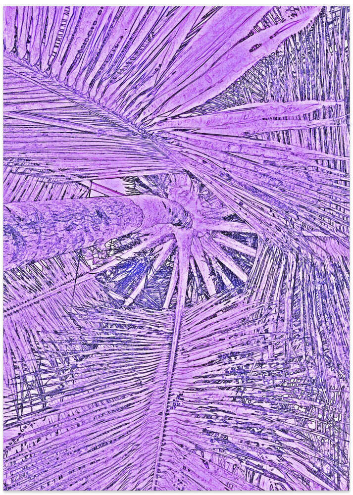 Purple Palm Dreams