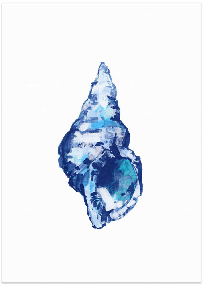 Blue Seashell On White Background No 2