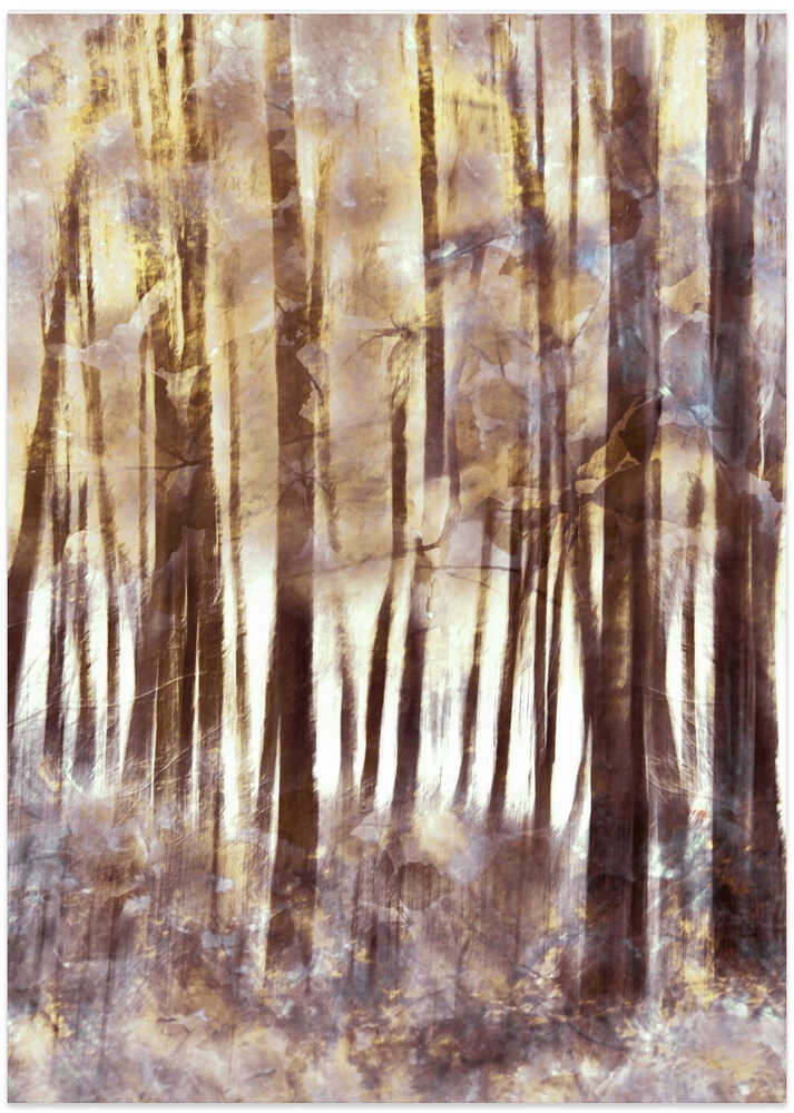 Painted Forest