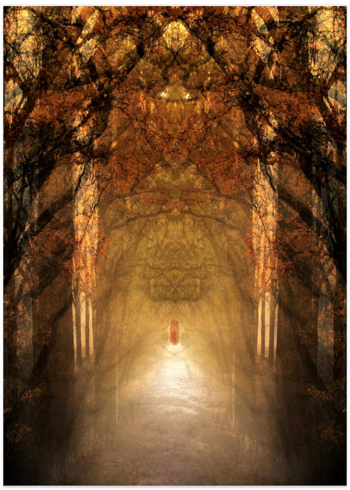 The Light Within Shadows