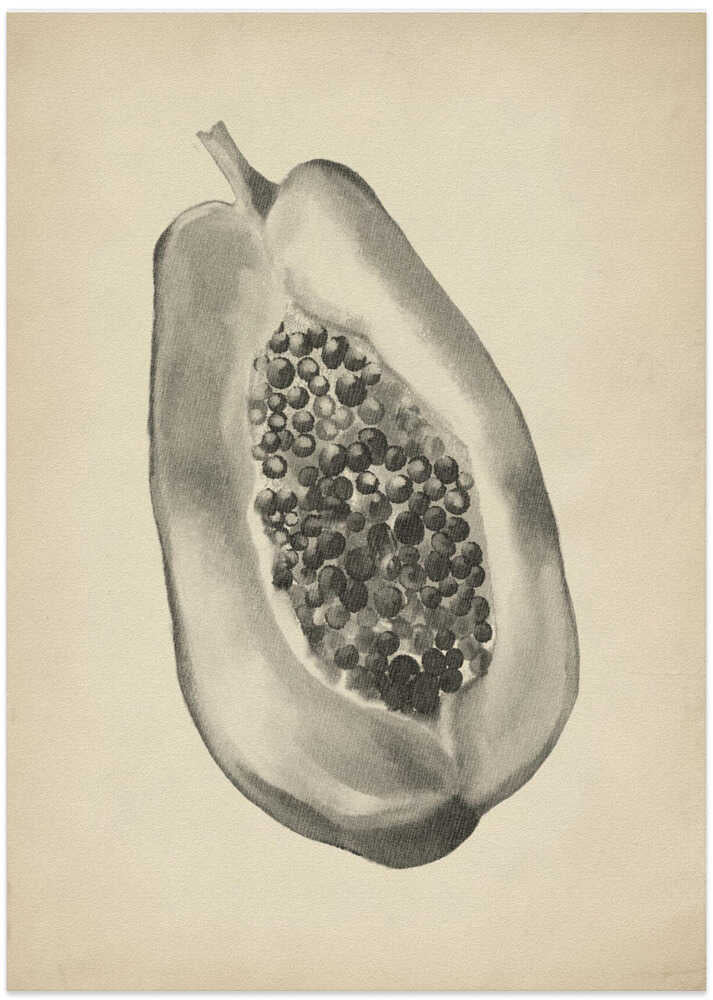 Vintage fruit botanical illustration