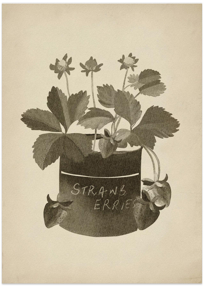 Vintage strawberry plant