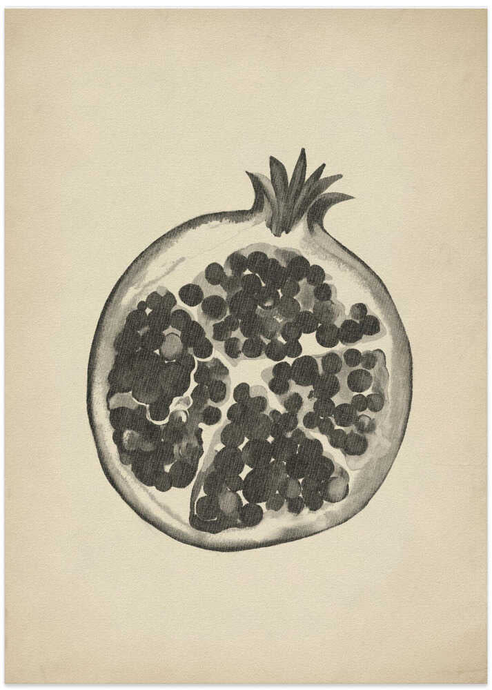 Vintage pomegranate
