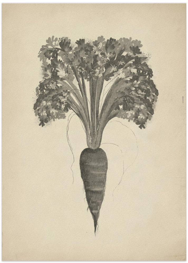 Project (20241106122935)