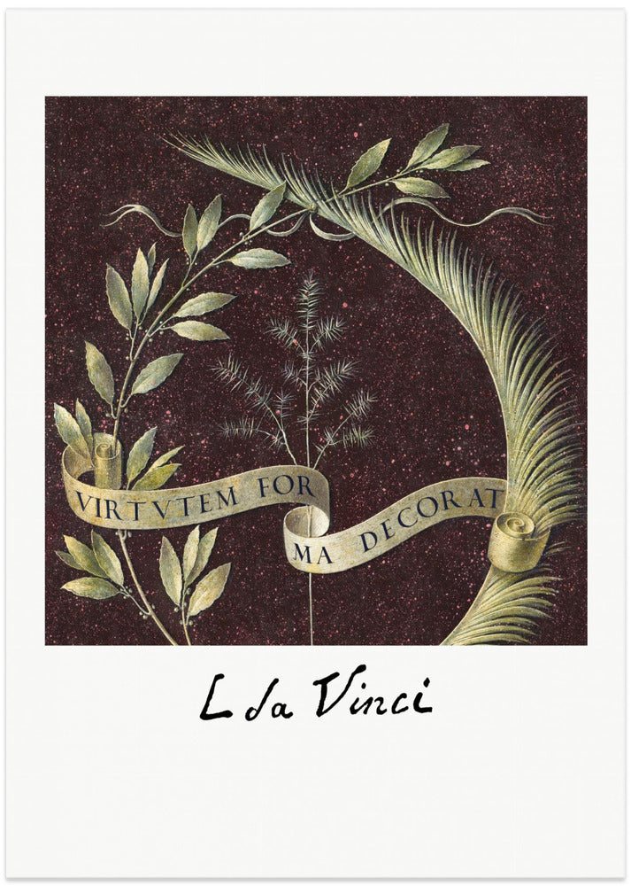 Virtutem Forma Decorat (ca.1474–1478