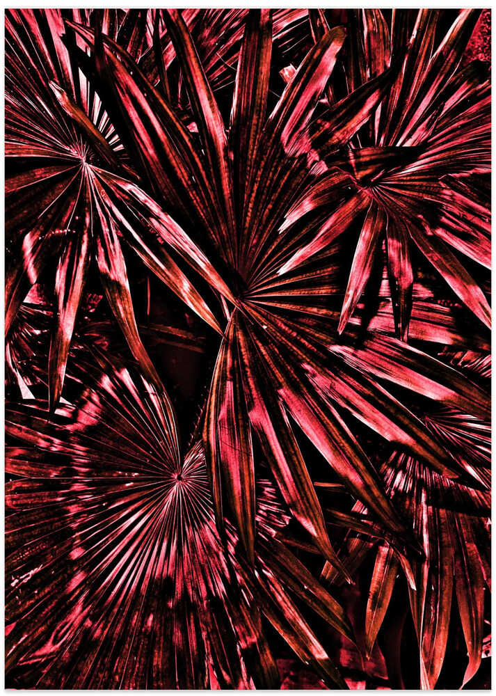 Crimson Palms