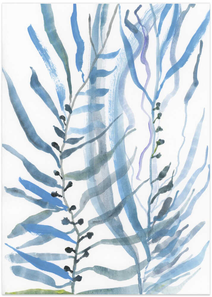 Blue Seaweed No1