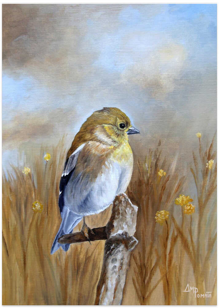 American Goldfinch In the Fall Light