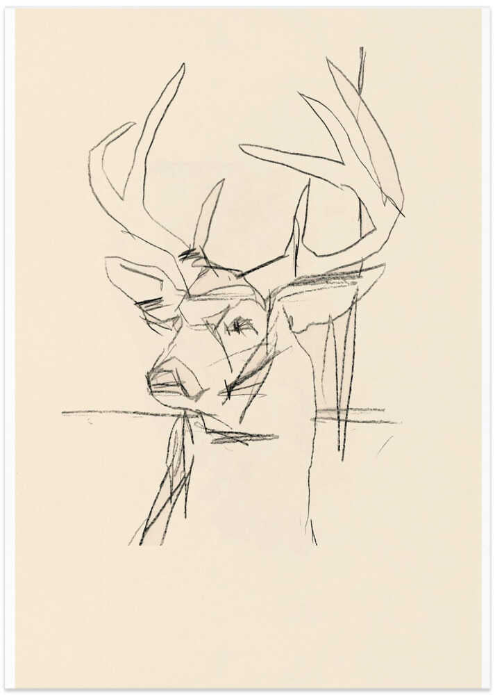 Étude Cerf (stag) No.1