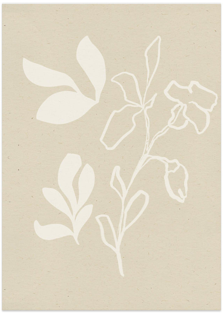 White Flora Silhouettes