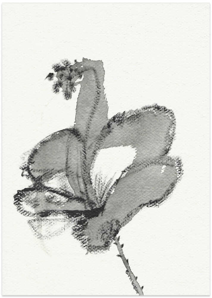 Delicate Ink Blossom