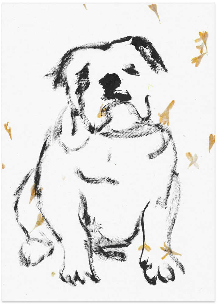 Pensive Pup Portrait