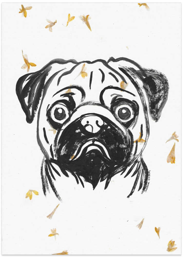 Pensive Pug Portrait