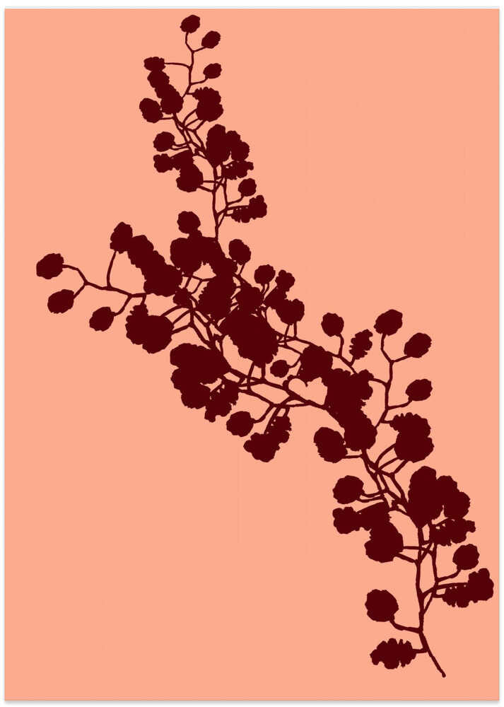 Floral Silhouette 4